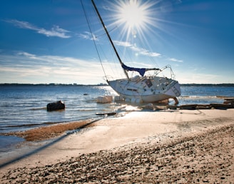 white and blue boat on shore during daytime
