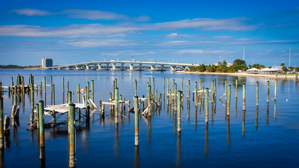 brown wooden poles on sea dock during daytime