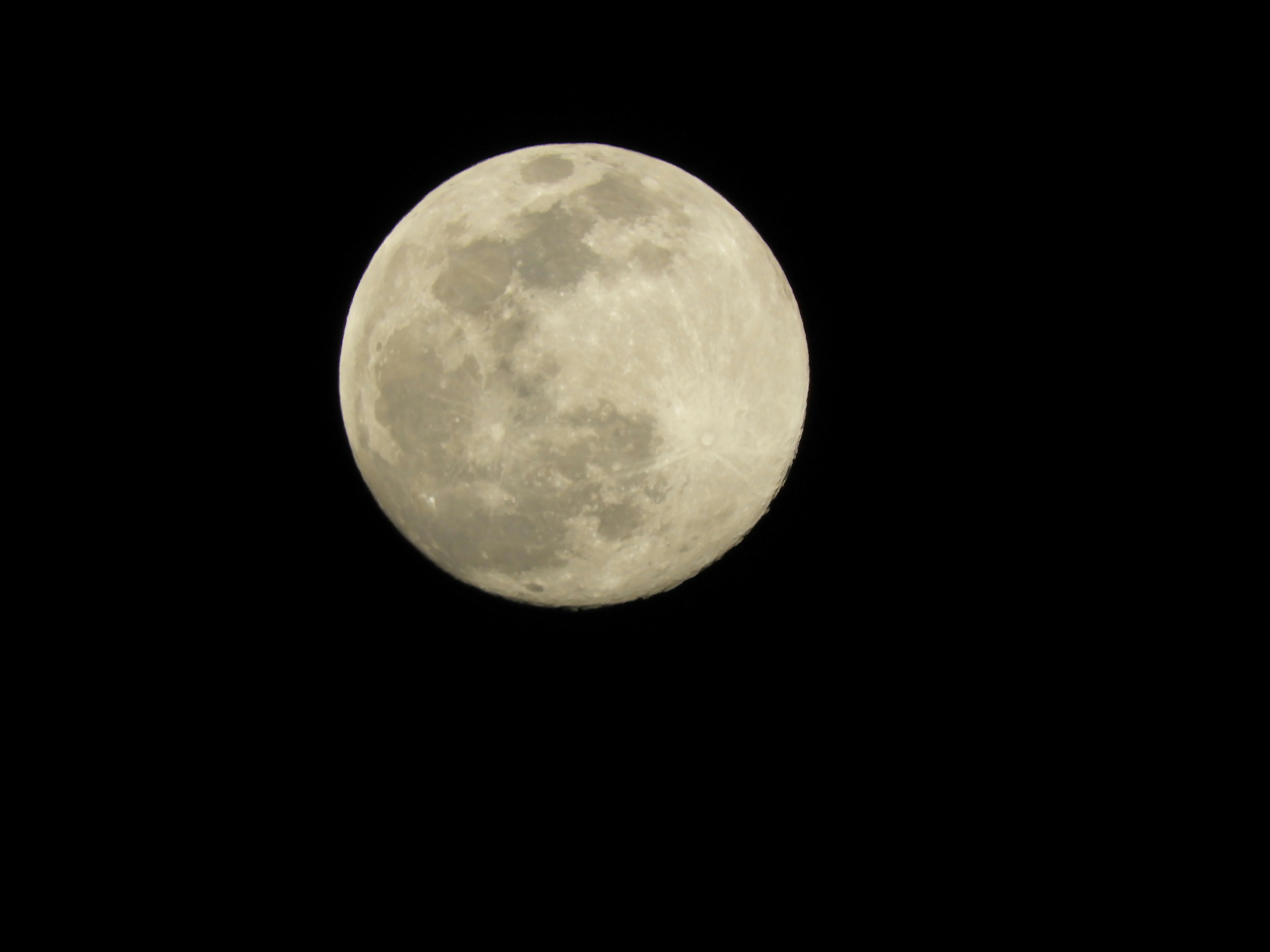 Invoice Coin header image