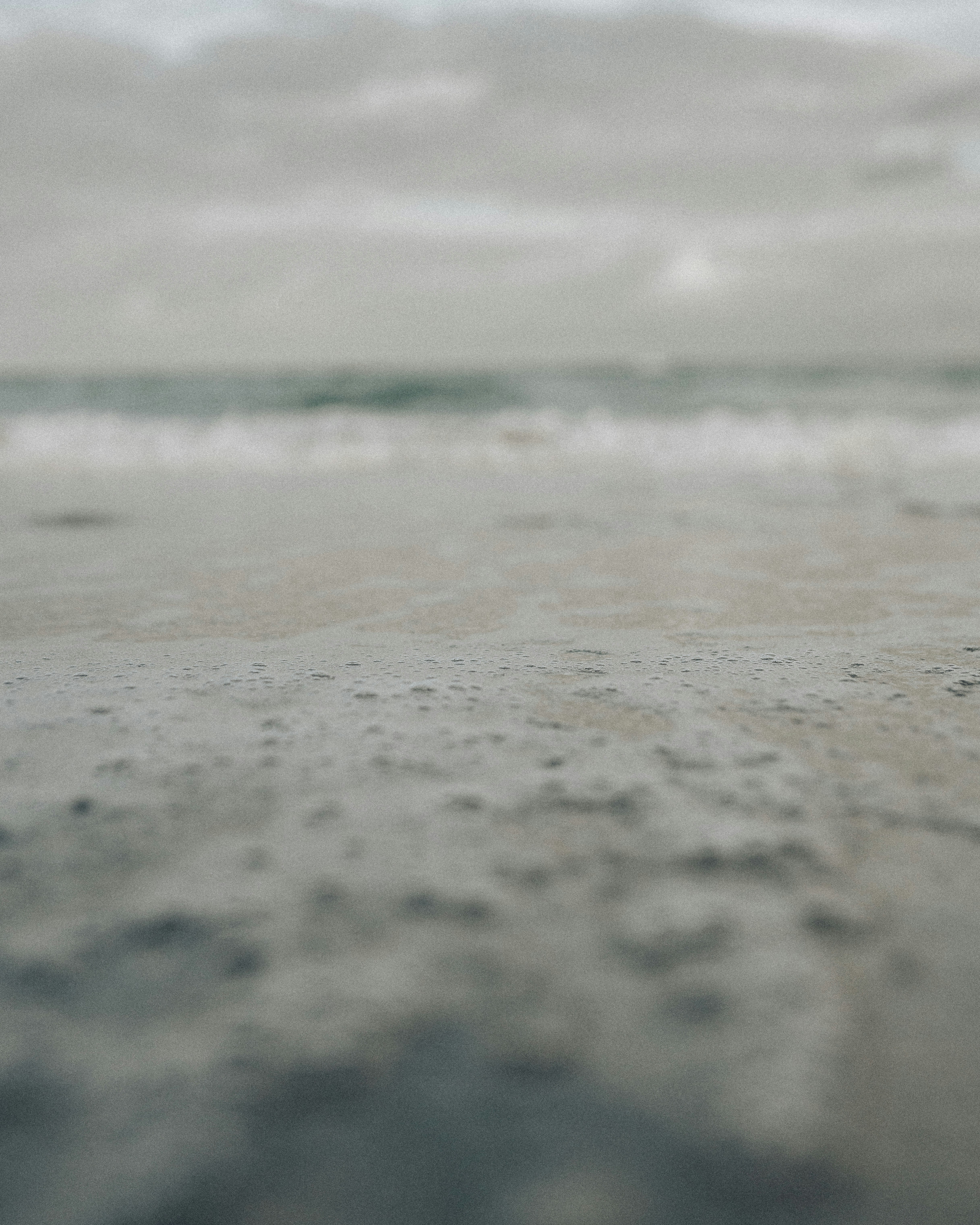 Photo by andredantan19