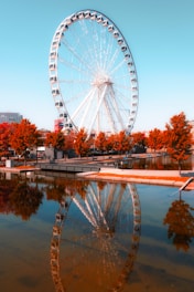 white ferris wheel near body of water during daytime