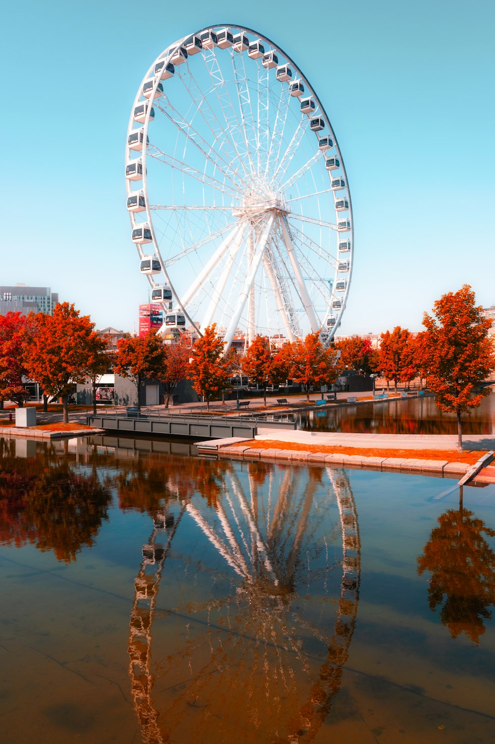 white ferris wheel near body of water during daytime