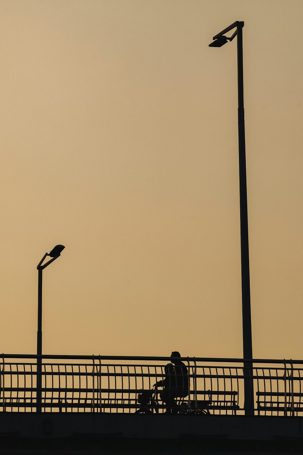 silhouette of bird on black metal fence during daytime