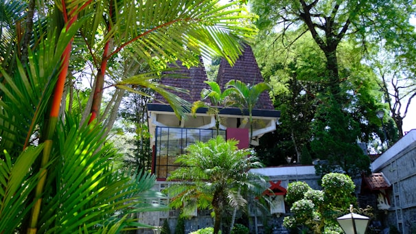 A house with a triangular roof is surrounded by lush greenery and tall trees. Palms and other tropical plants are abundant, creating a dense, verdant setting. The building features large glass windows and a modern architectural design, partially obscured by the rich foliage.