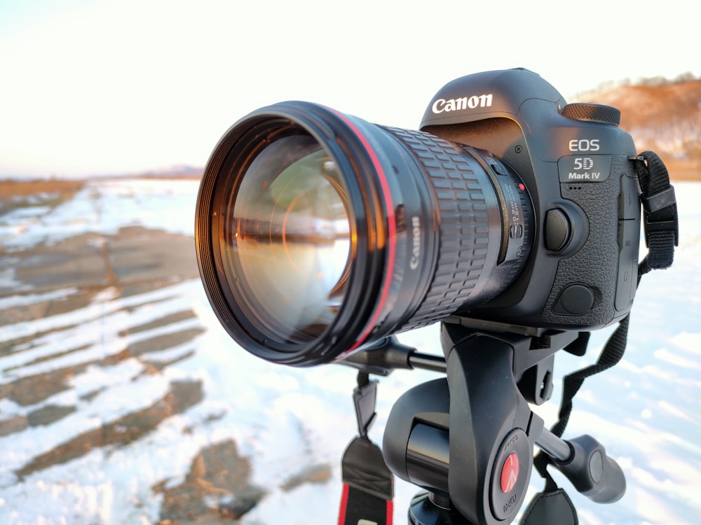 Pijnstiller Uitrusting Economisch 750+ Canon 5D Mark Iv Pictures | Download Free Images on Unsplash
