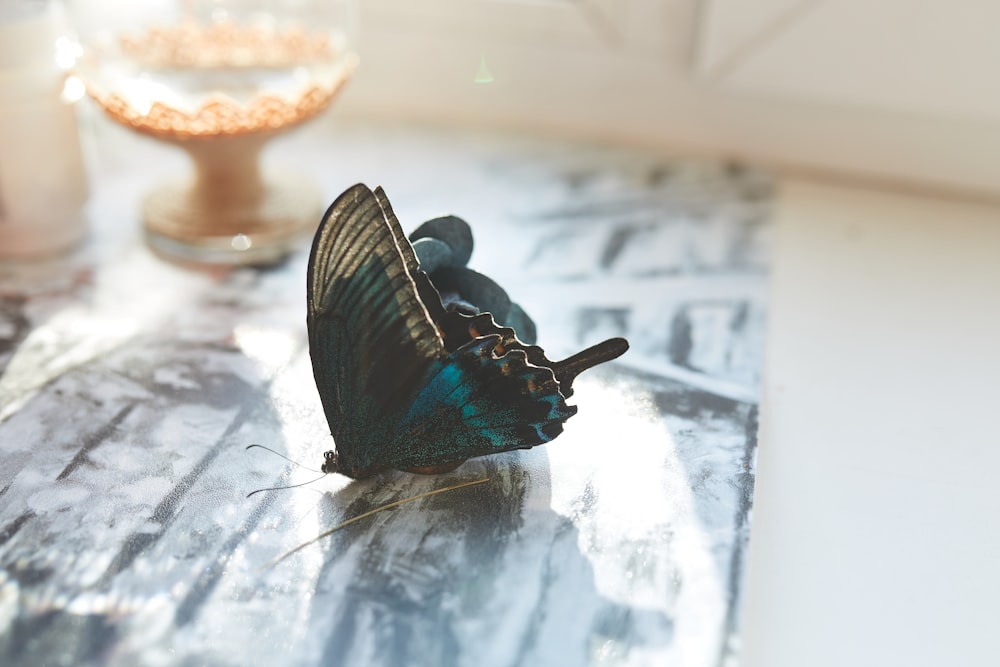 black and white butterfly on white and blue floral textile