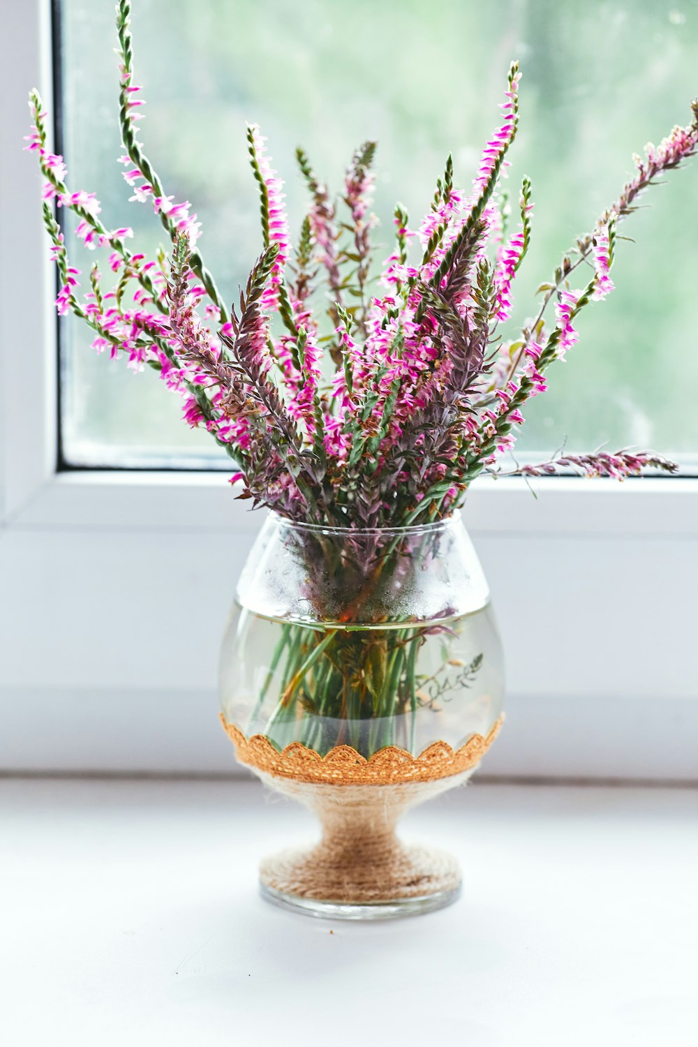 red and green plant on clear glass vase
