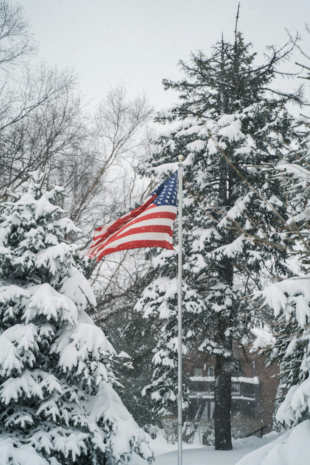 us a flag on pole near bare trees during daytime