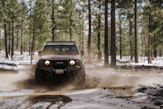 black jeep wrangler on dirt road surrounded by trees during daytime