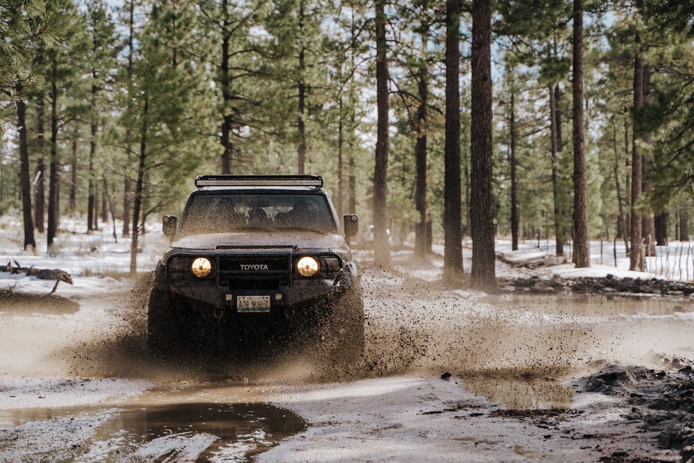 black jeep wrangler on dirt road surrounded by trees during daytime