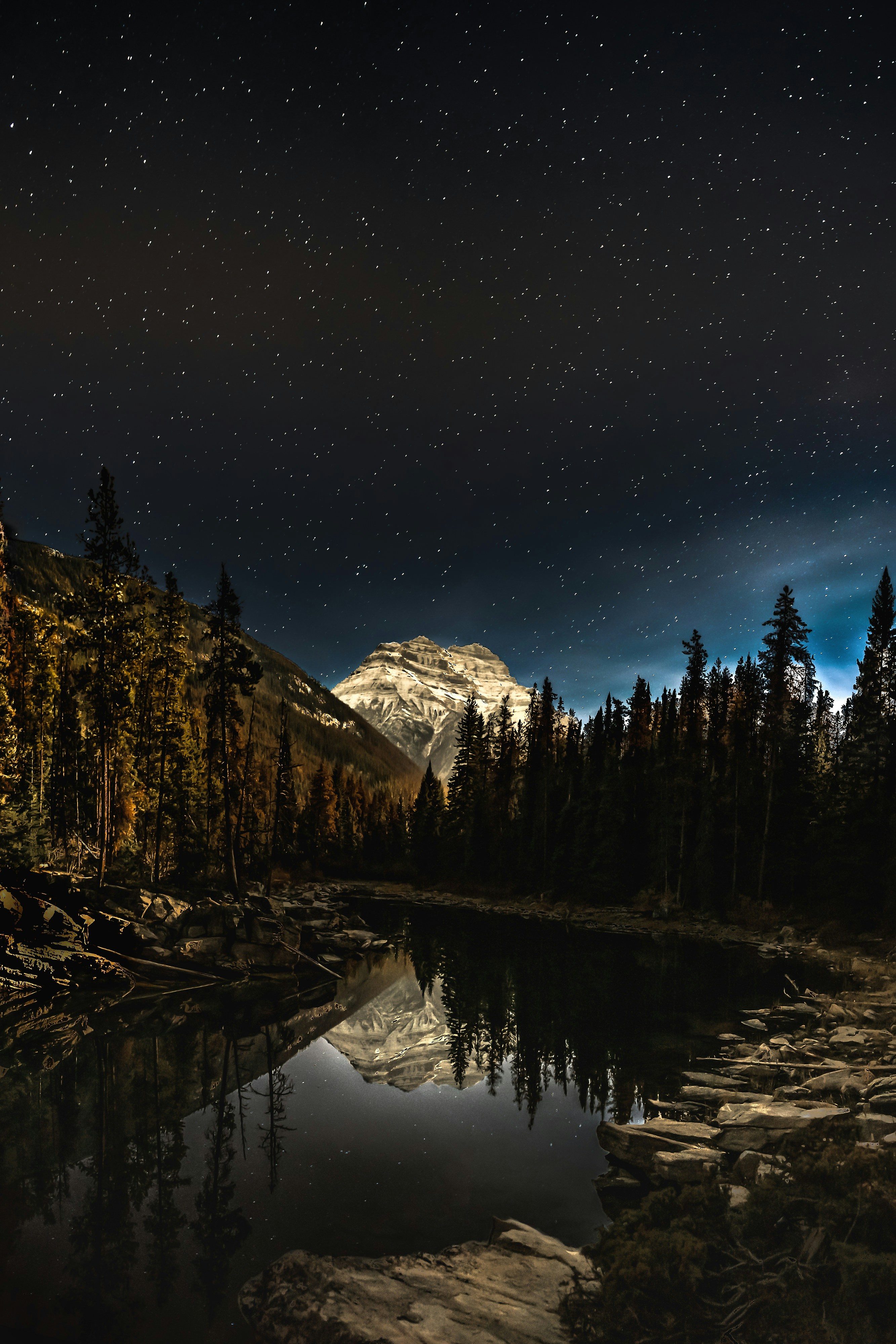 green pine trees near snow covered mountain during night time