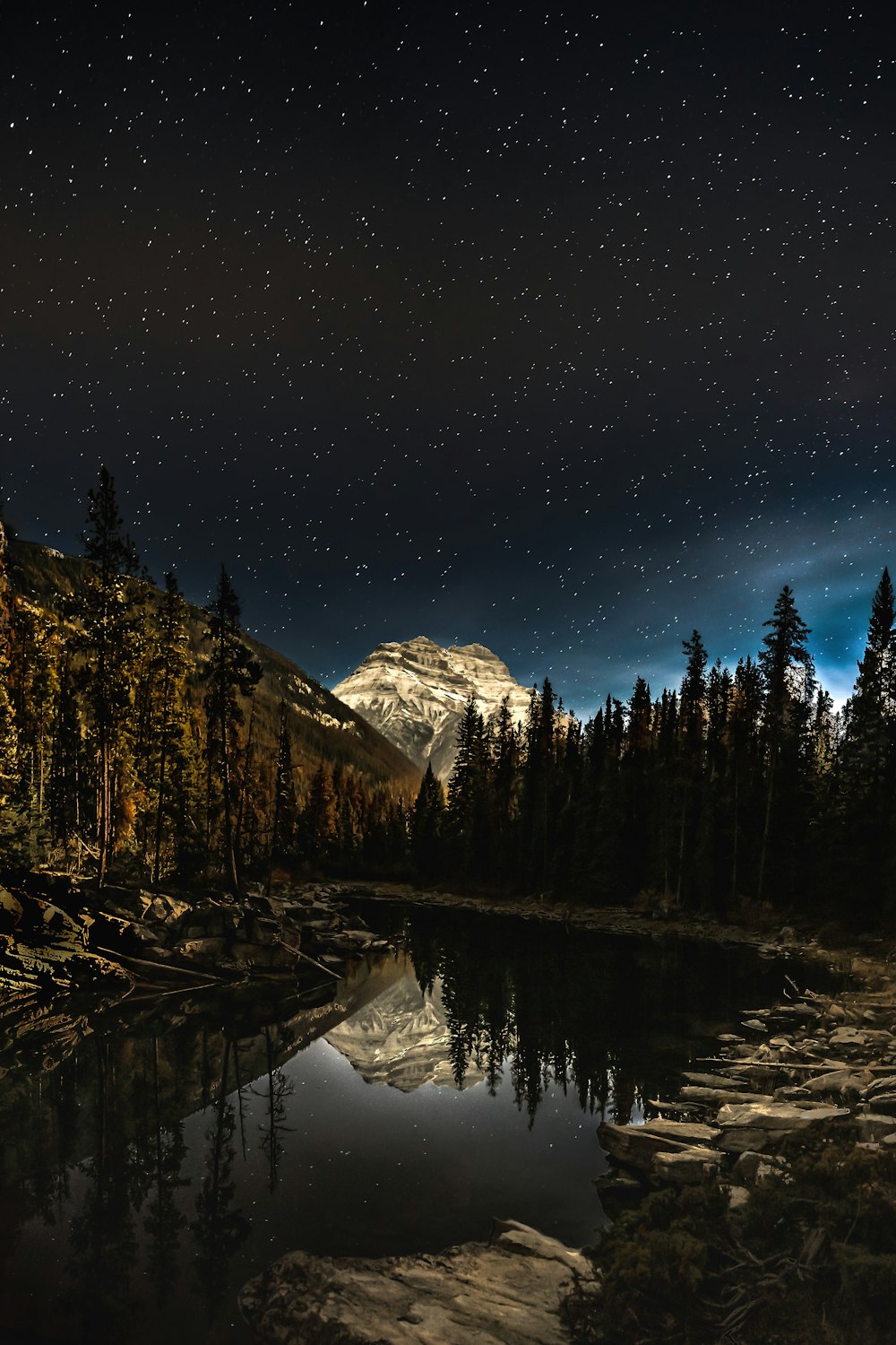 green pine trees near snow covered mountain during night time