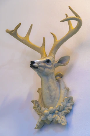 A beautifully mounted deer head with intricate western-style leather accents.