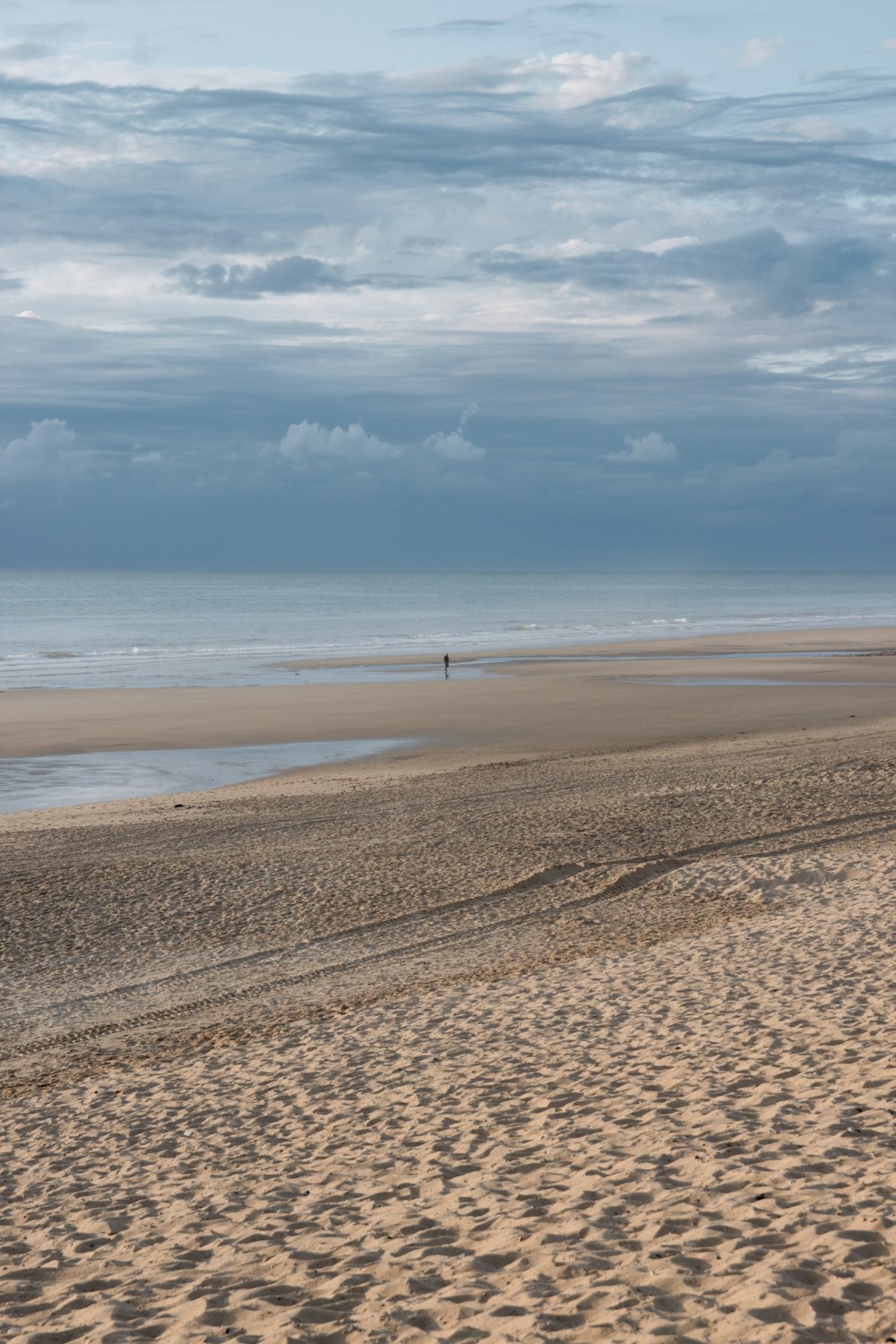 person walking on beach during daytime