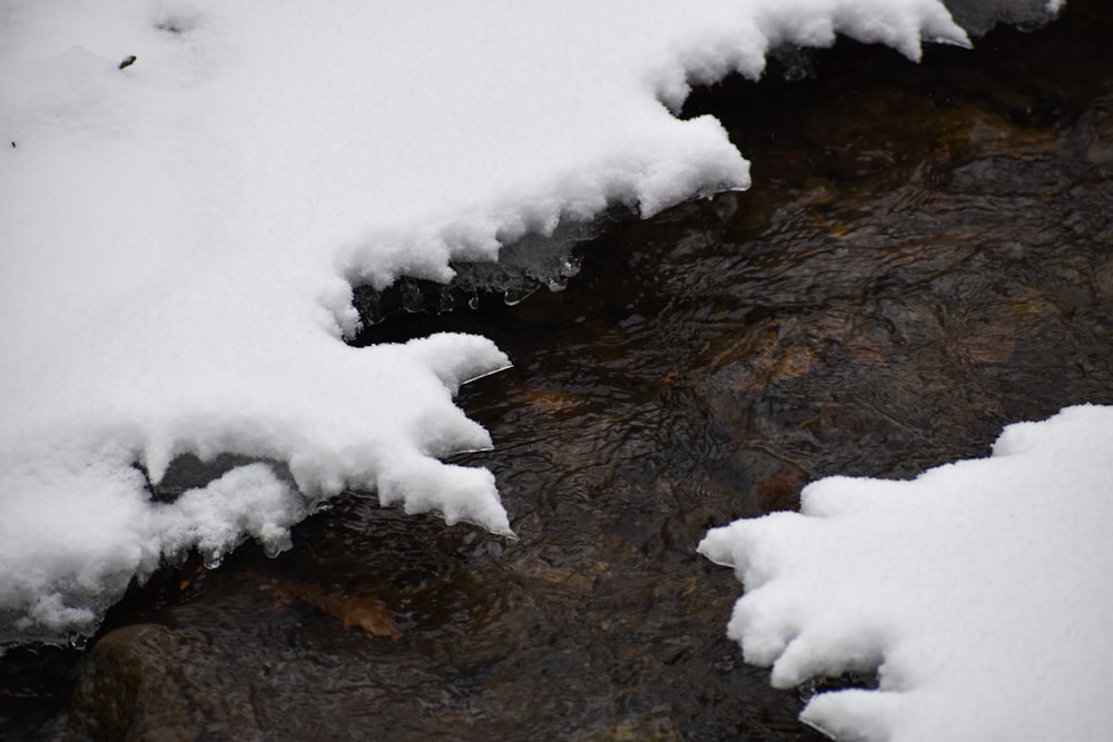 snow covered ground during daytime