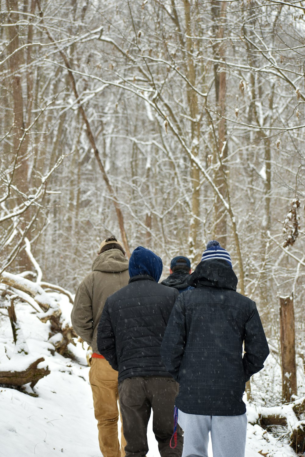 person in black jacket and blue knit cap standing in the middle of the forest during