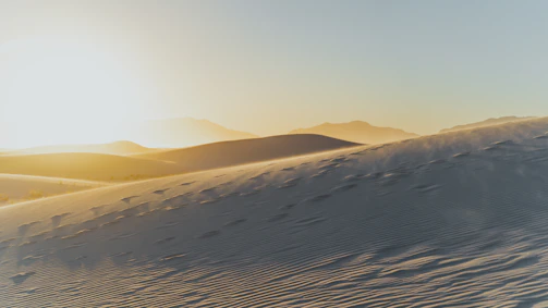 A golden sunset casting long shadows over the rolling dunes of the Merzouga desert.