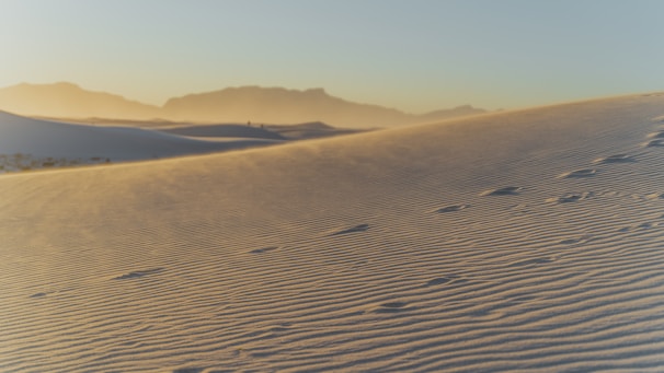 A picturesque sand dune landscape in Jaisalmer during golden hour.