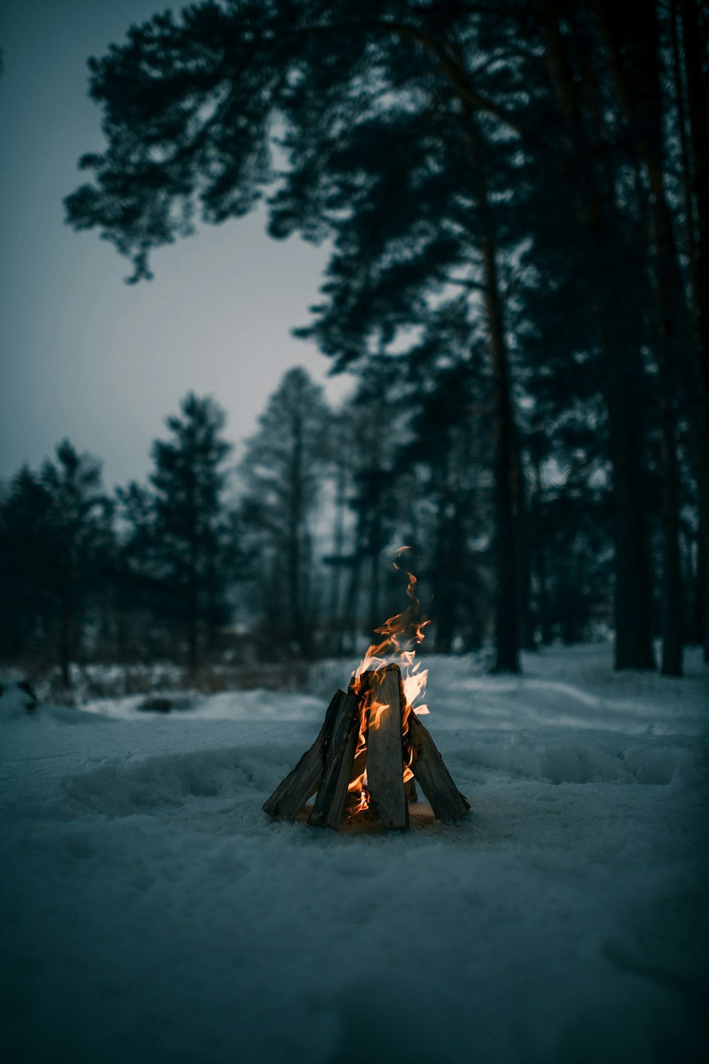 person in brown coat standing on snow covered ground during daytime