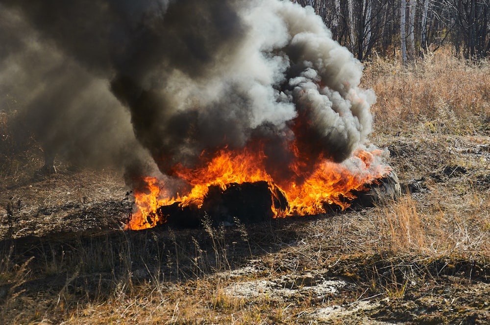 burning woods on ground during daytime