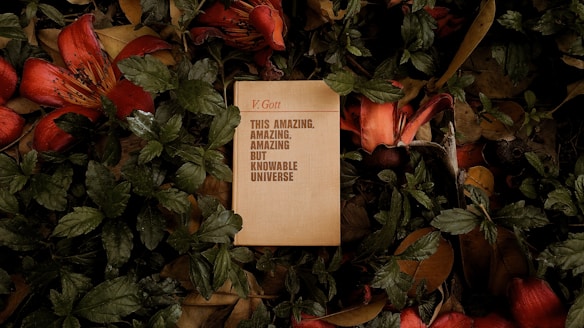 A book with the title 'THIS AMAZING, AMAZING, AMAZING BUT KNOWABLE UNIVERSE' by V. Gott is surrounded by lush, green leaves and vibrant, red flowers. The natural elements create an elegant and serene frame around the book.