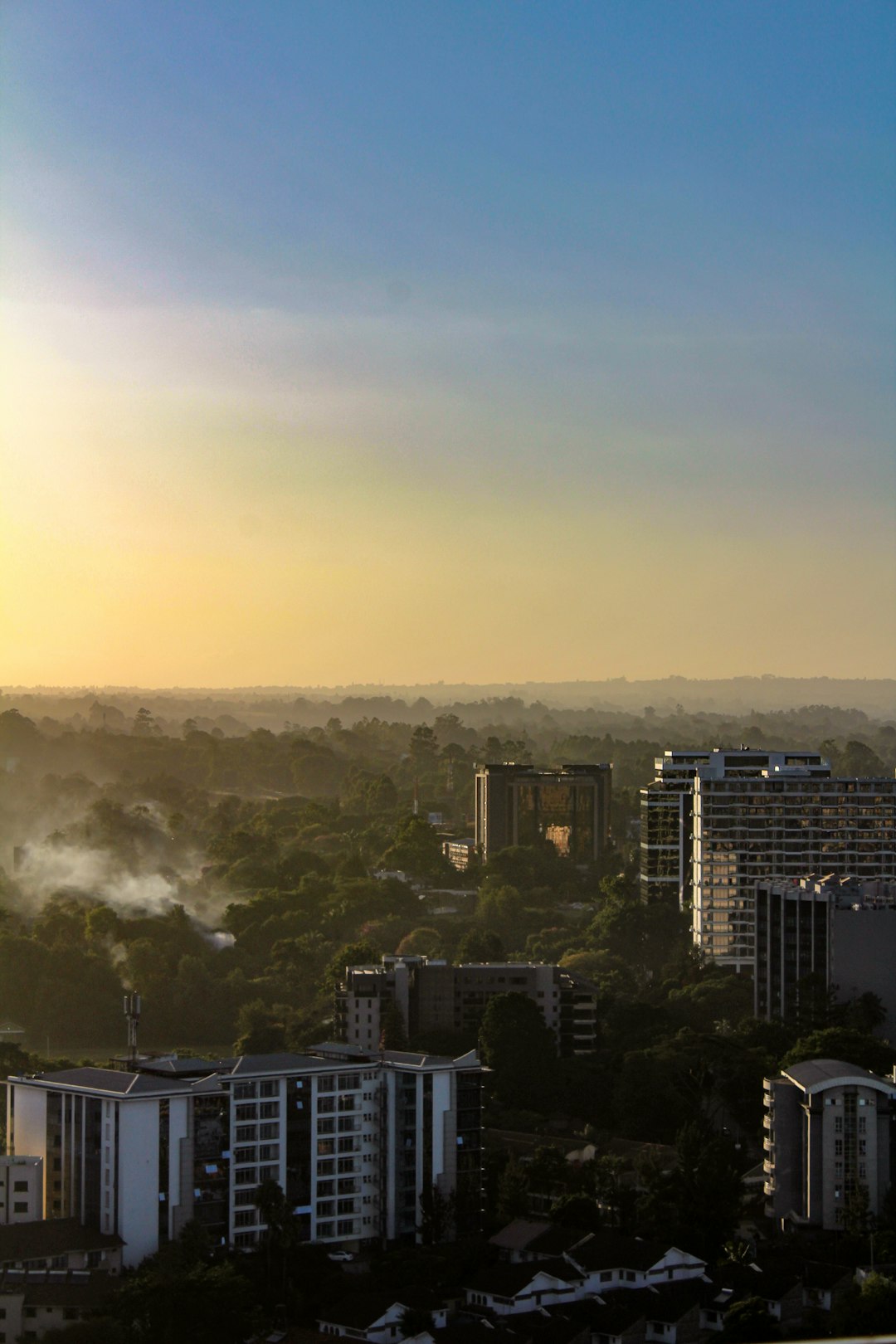 Forest City Pictures | Download Free Images on Unsplash