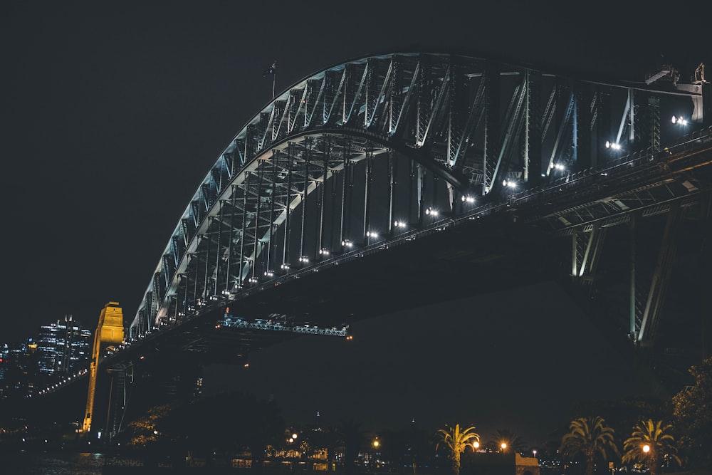 gray metal bridge during night time