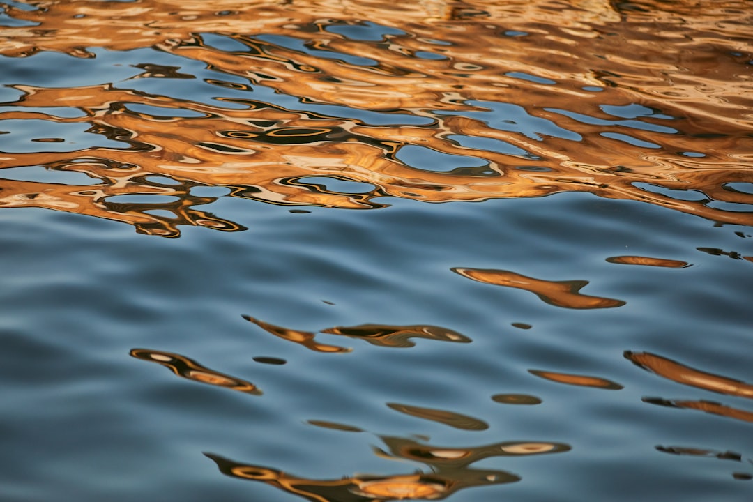 brown and white water droplets