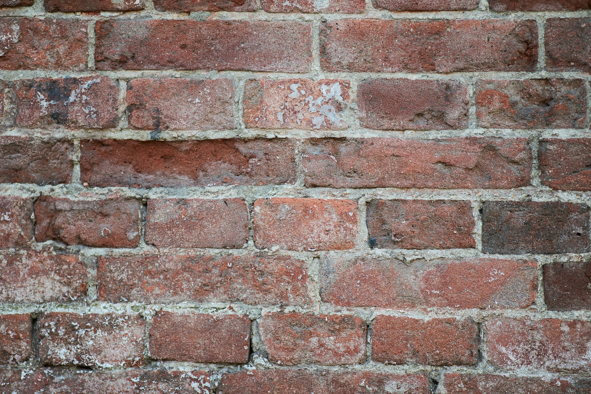 red and gray brick wall