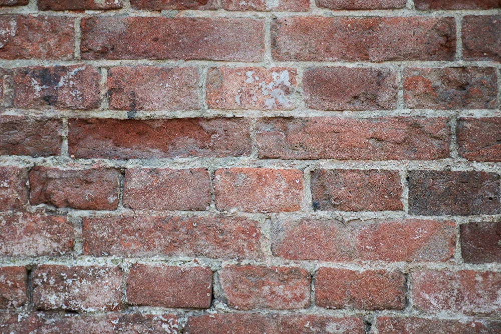 red and gray brick wall