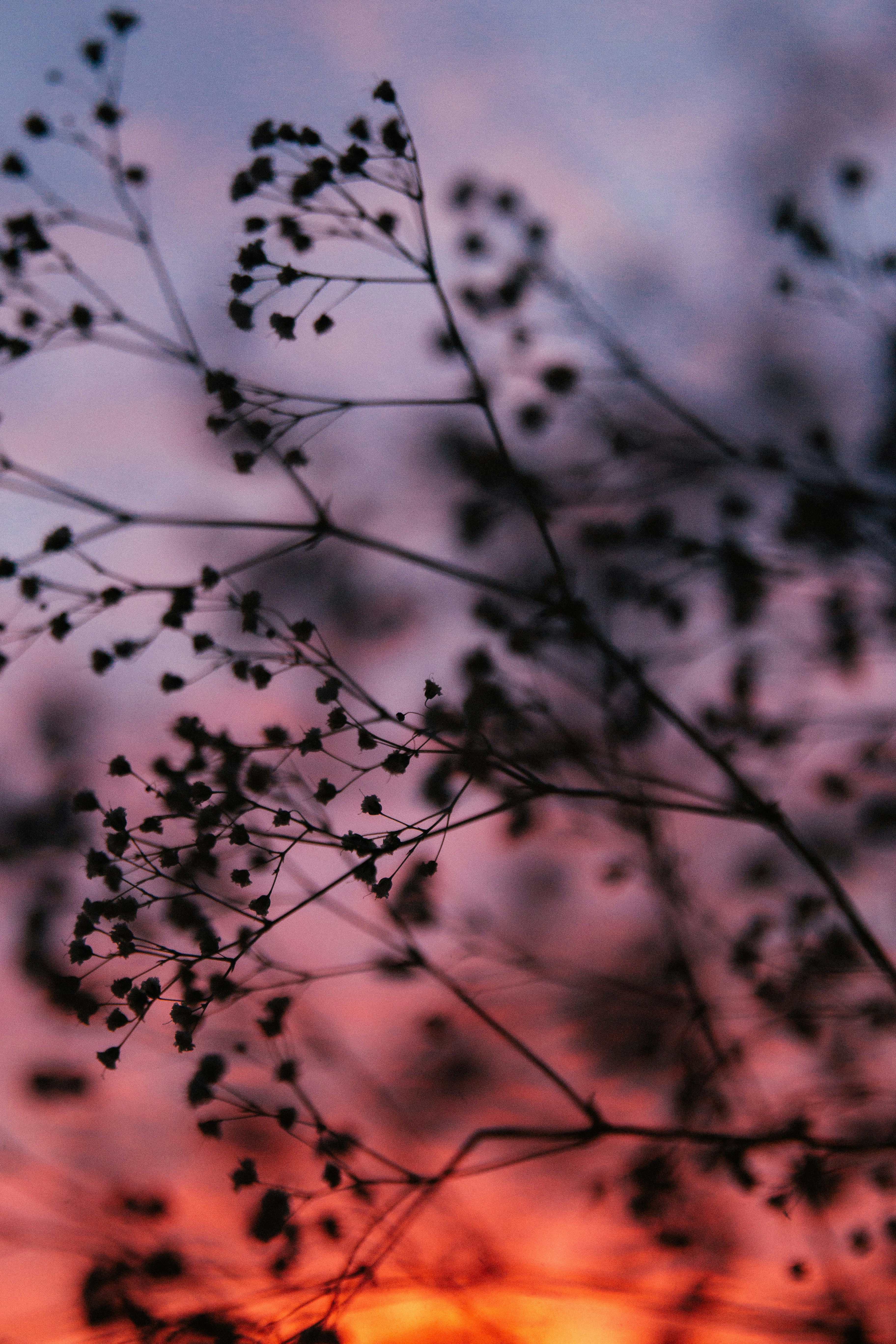 Photo by kkalerry