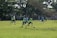 A group of young athletes playing soccer on a grassy field, surrounded by trees and a fence. Players are wearing matching blue uniforms, and a few are in yellow pinnies. The scene is set under a clear sky with ample sunlight.