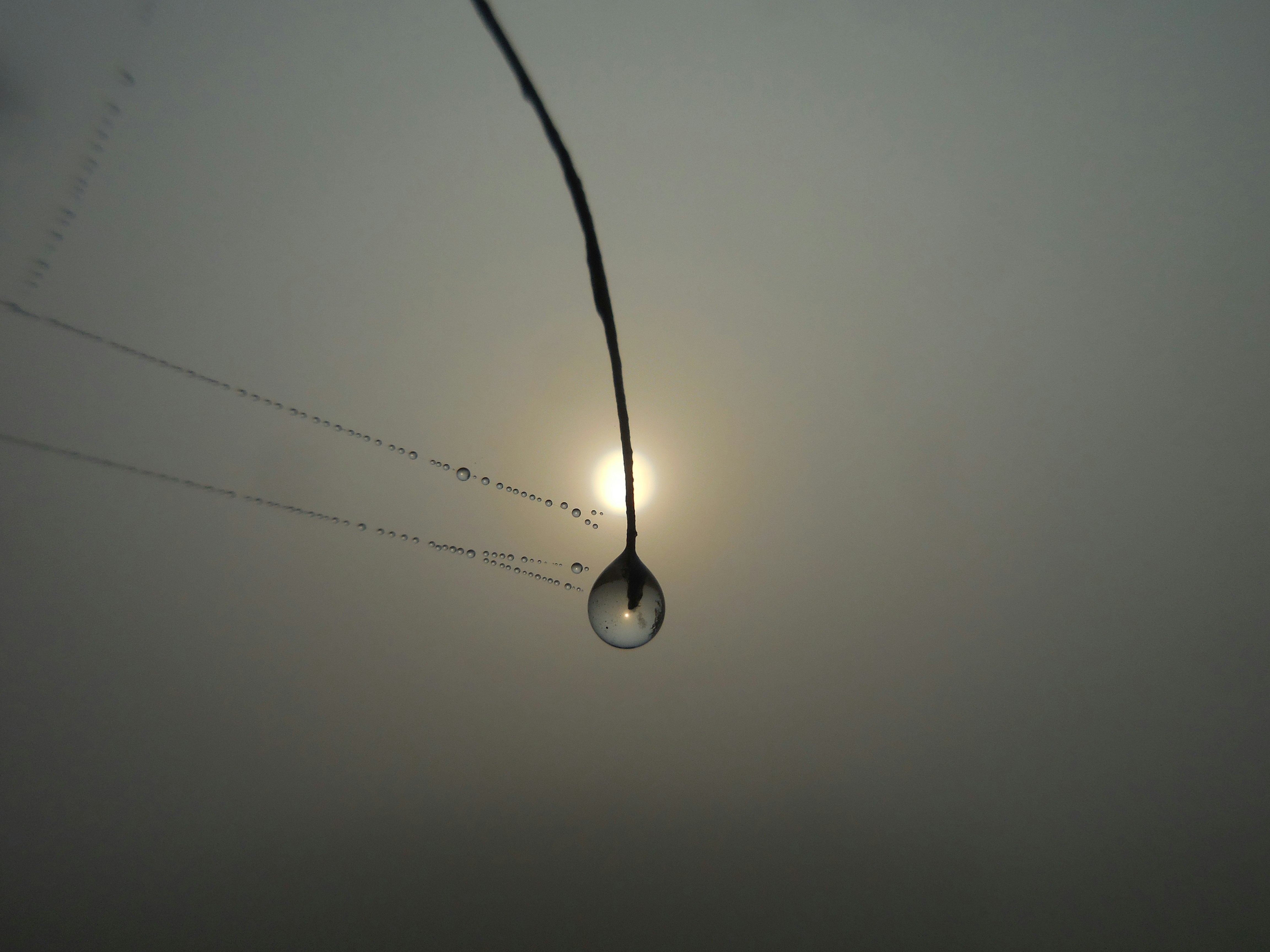 Krishna K. Maiti (@kkmaiti) | Komunitas Foto Unsplash