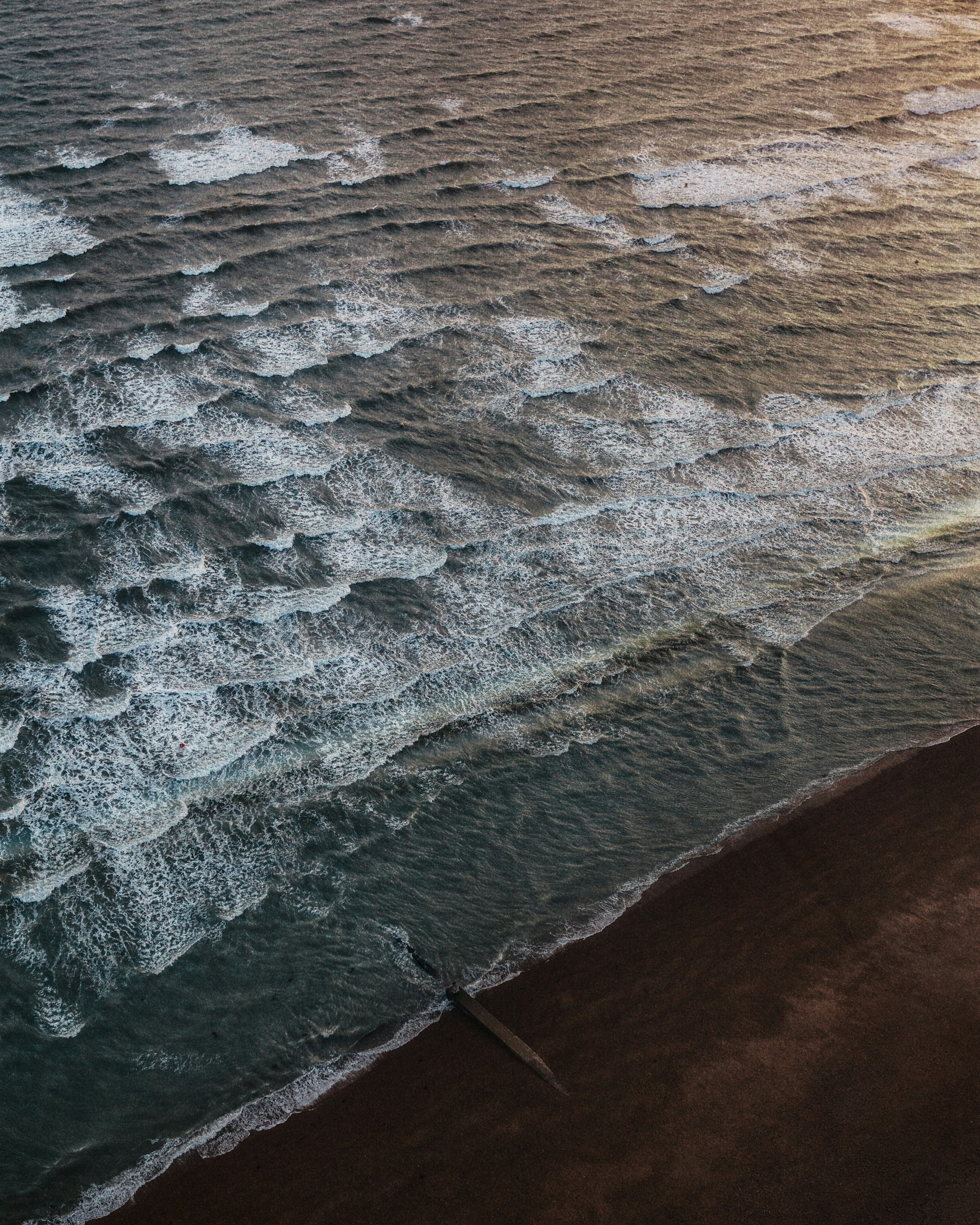 Mastering Your Move: Expert Tips from a Brighton Moving Company