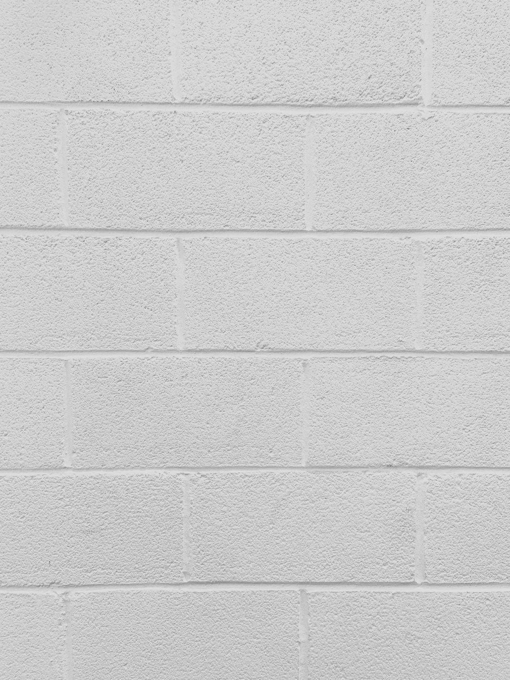 white concrete wall during daytime