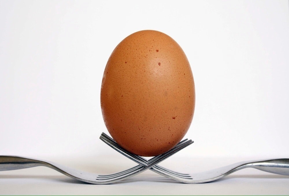 Braunes Ei auf schwarzem Metallgestell