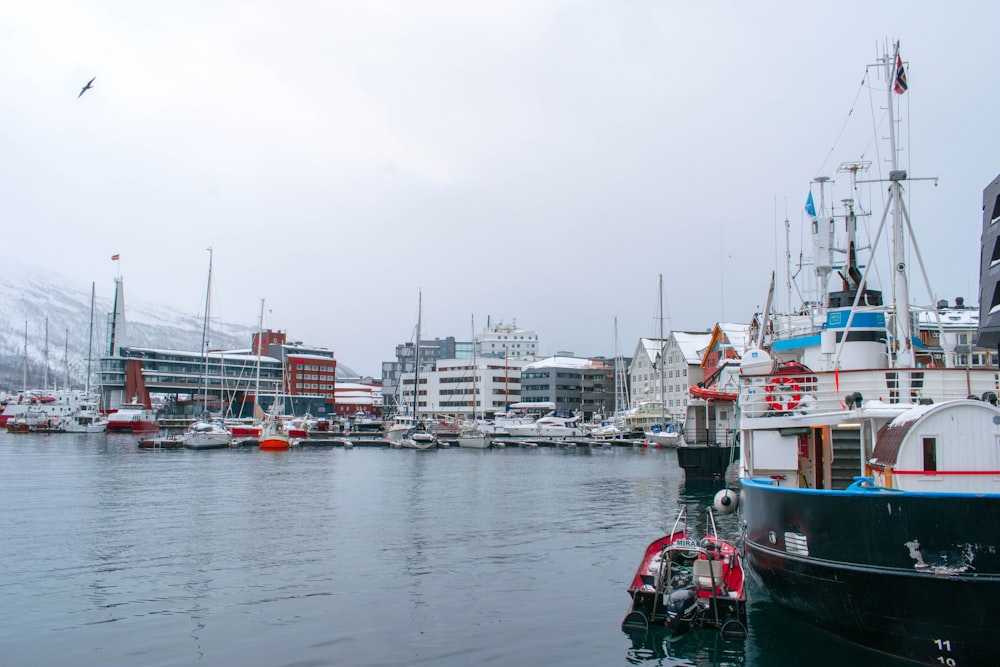 rot-weißes Boot tagsüber auf Gewässern