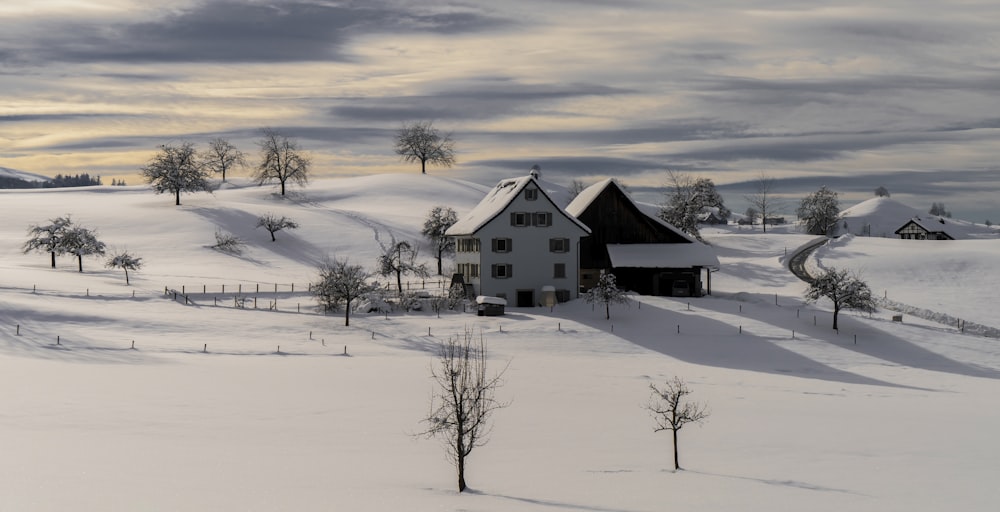 casa de madeira marrom no chão coberto de neve durante o dia