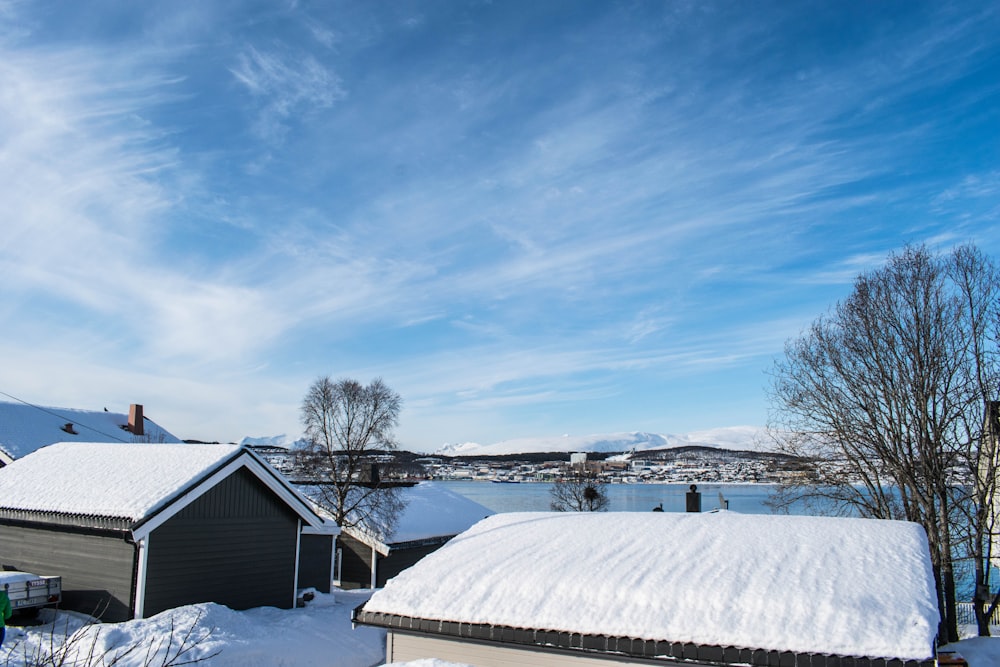 snow covered field near house during daytime