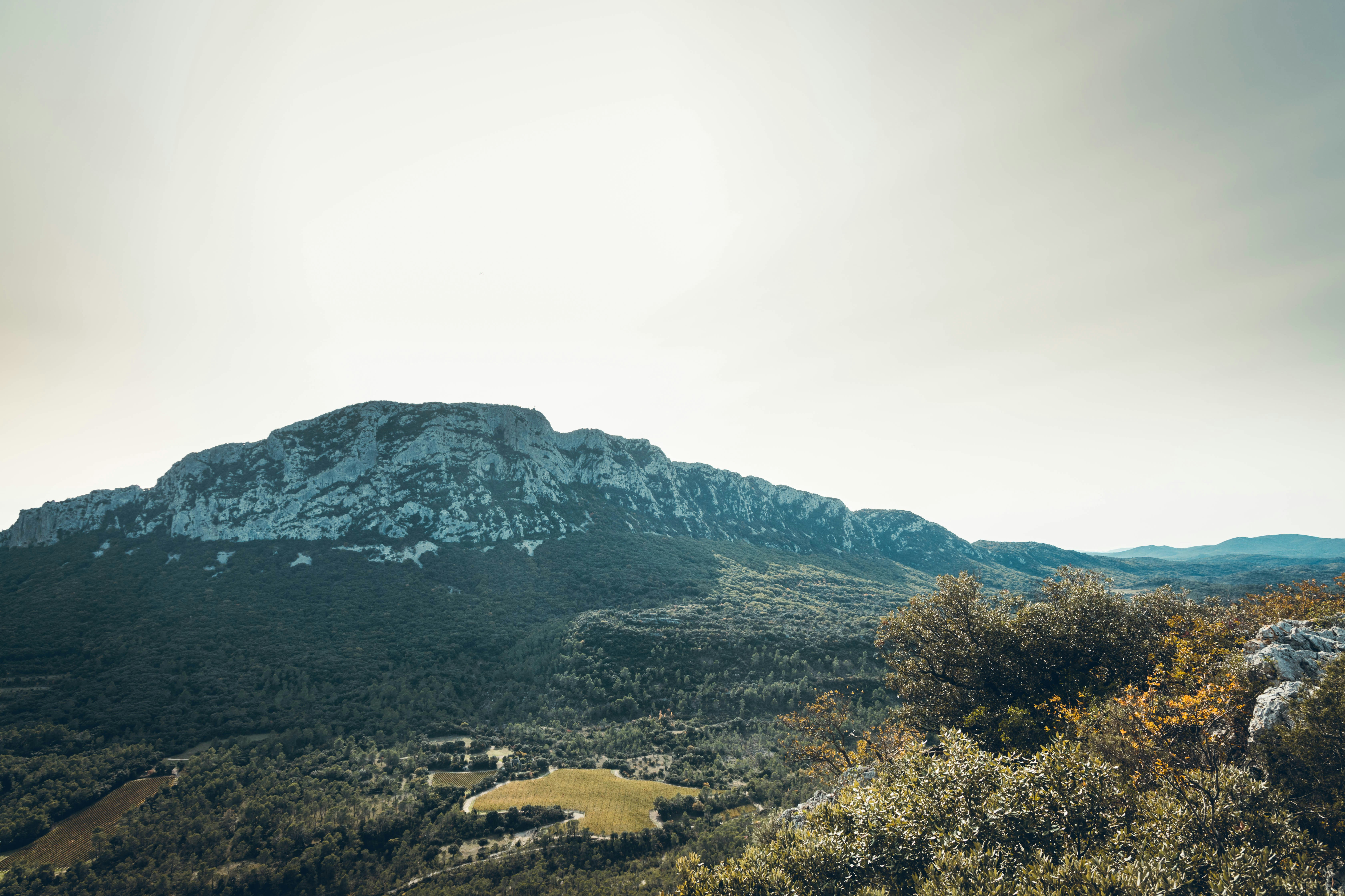 Photo by adriencesard