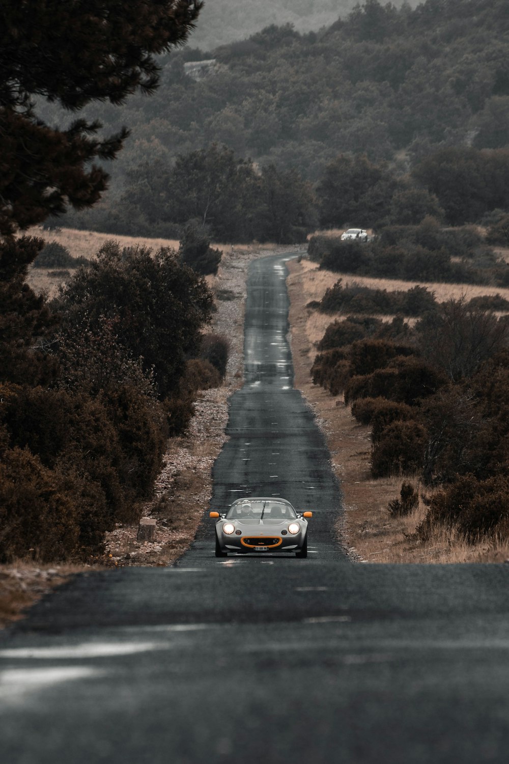 black car on road between trees during daytime