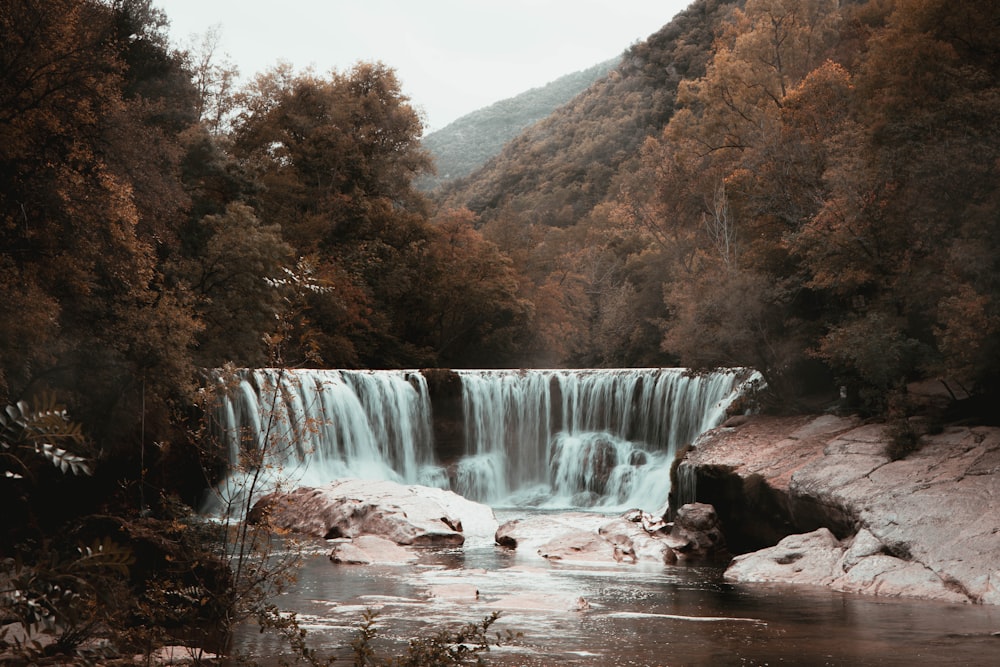 waterfalls in the middle of the forest