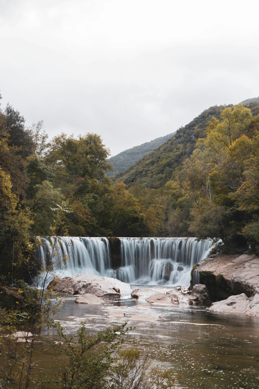 waterfalls in the middle of green trees