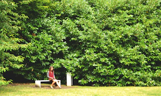 A volunteer gently comforting a young person sitting alone on a park bench.