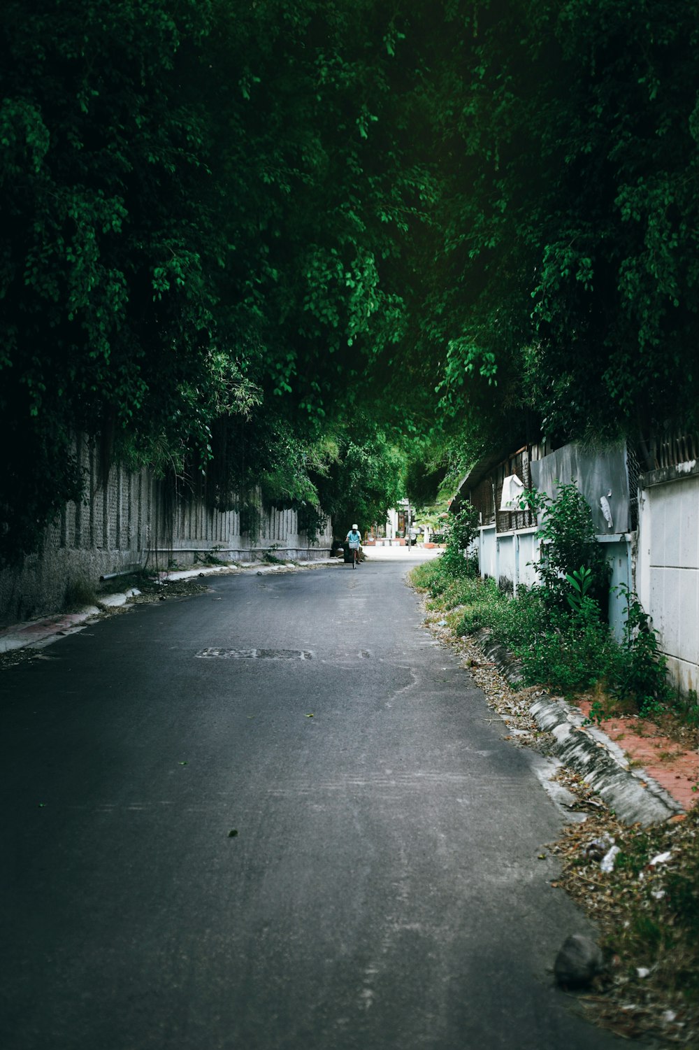 gray concrete road between green trees during daytime