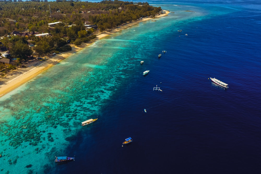 aerial view of body of water during daytime