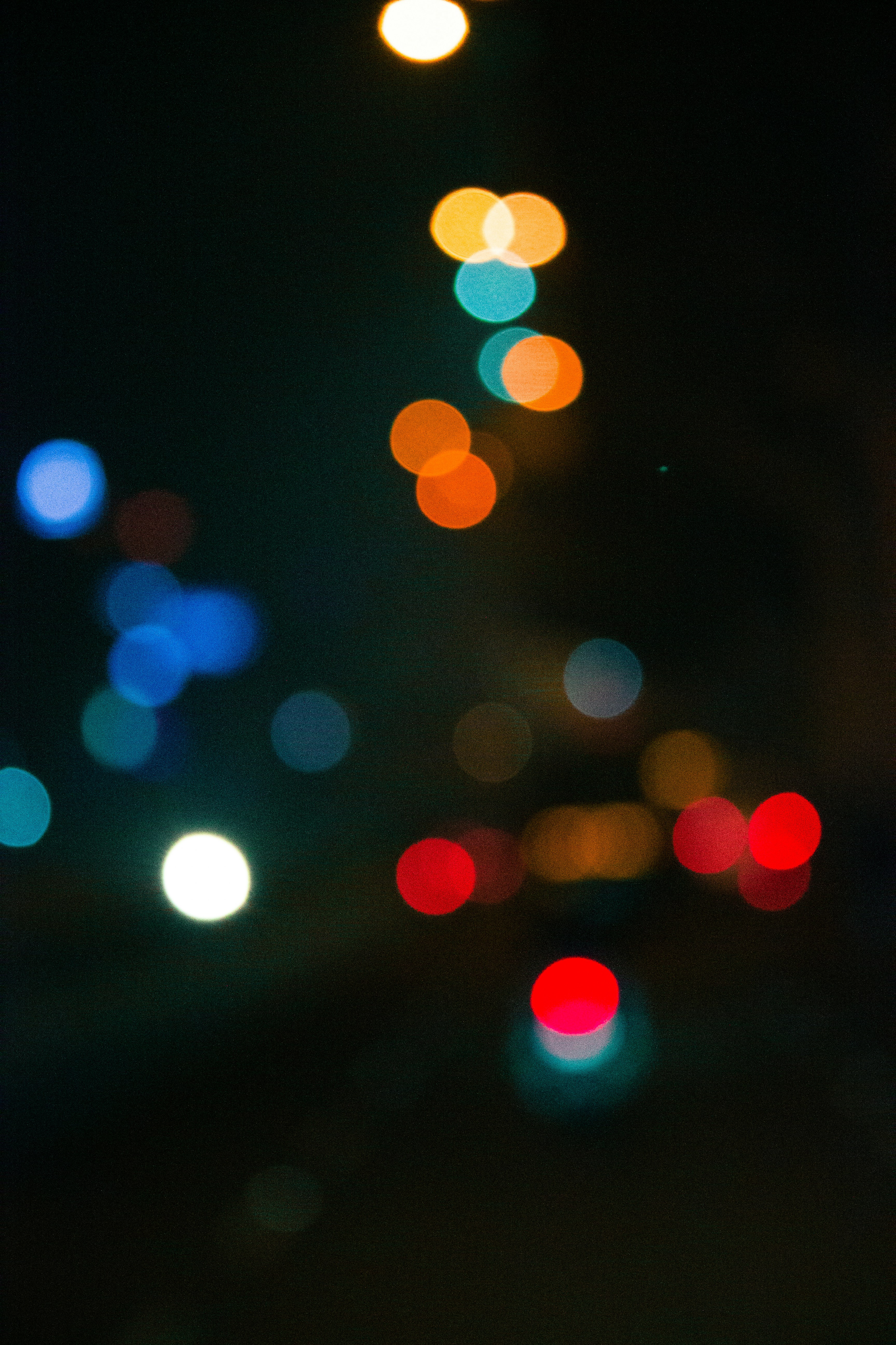 Photo by thilak_cm212