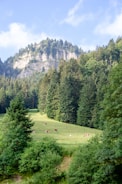 A scenic farm landscape with cows grazing under a clear blue sky.