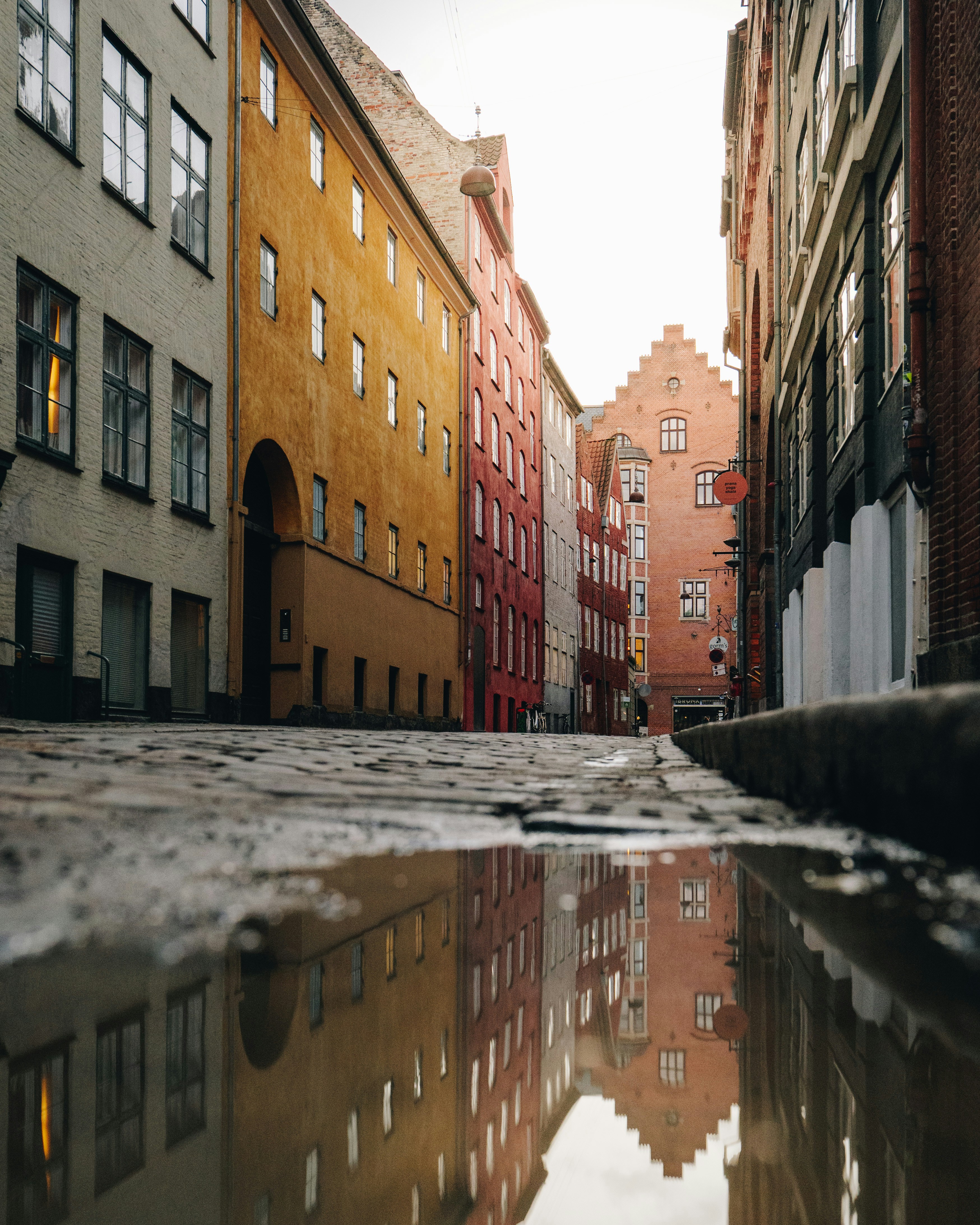 Photo by fluffyflick