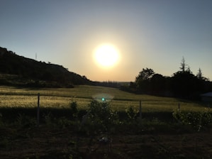 A calm sunset over a quiet field, symbolizing a pause before growth.